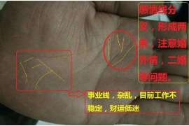 城东侦探公司：婚姻撤销办理程序