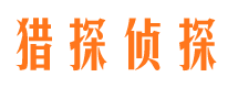 城东市侦探调查公司